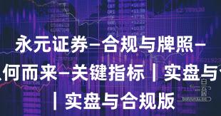 永元证券—合规与牌照—合规从何而来—关键指标｜实盘与合规版