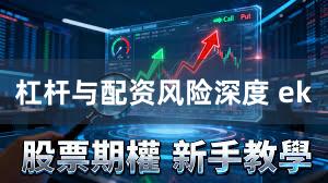 杠杆与配资风险深度 ek