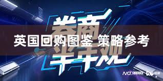 英国回购图鉴 策略参考