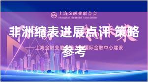 非洲缩表进展点评 策略参考