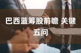 巴西蓝筹股前瞻 关键五问