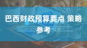 巴西财政预算要点 策略参考