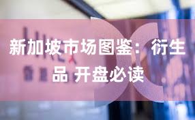 新加坡市场图鉴：衍生品 开盘必读